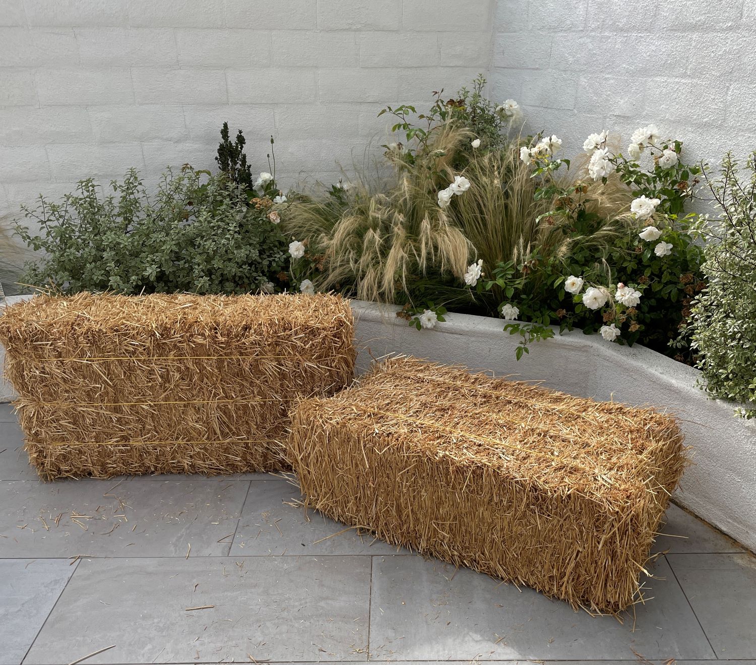 Rice Straw Bales - Certified Weed Free (Biodegradable) - 46 x 15 x 22 -  Made in the USA